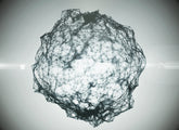 White Plexus 06